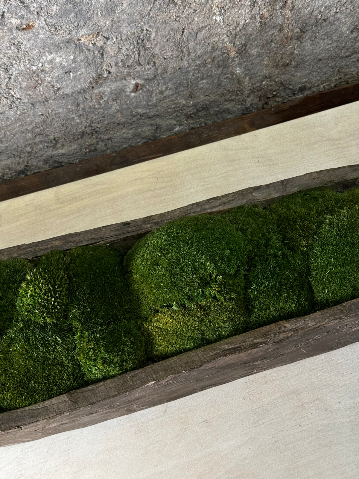 Mokoro Canoe with Preserved Moss Table Display FR60