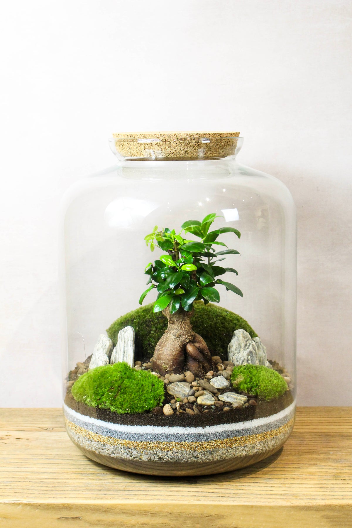 The Grande Terrarium (Zen) 45x34cm