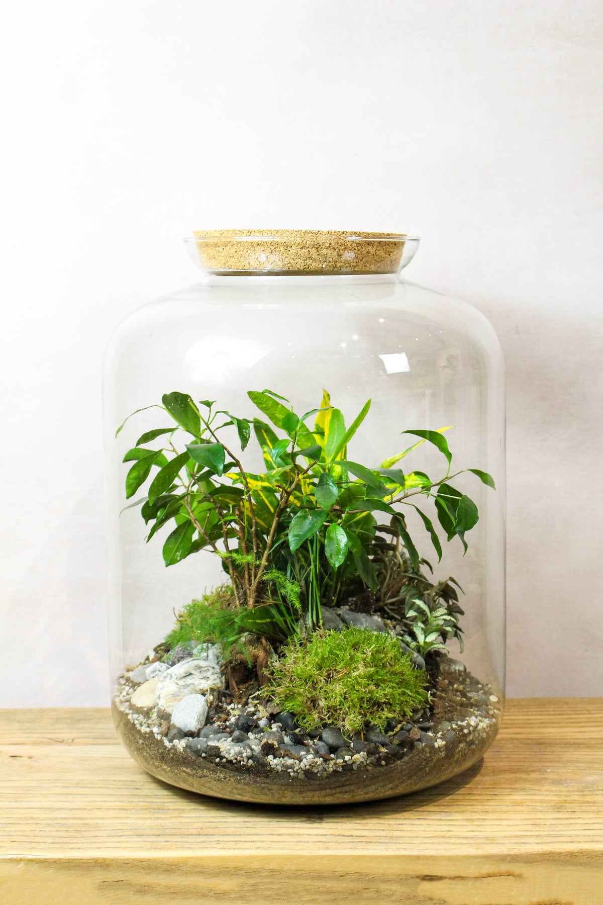 The Grande terrarium — view of the tropical landscape
