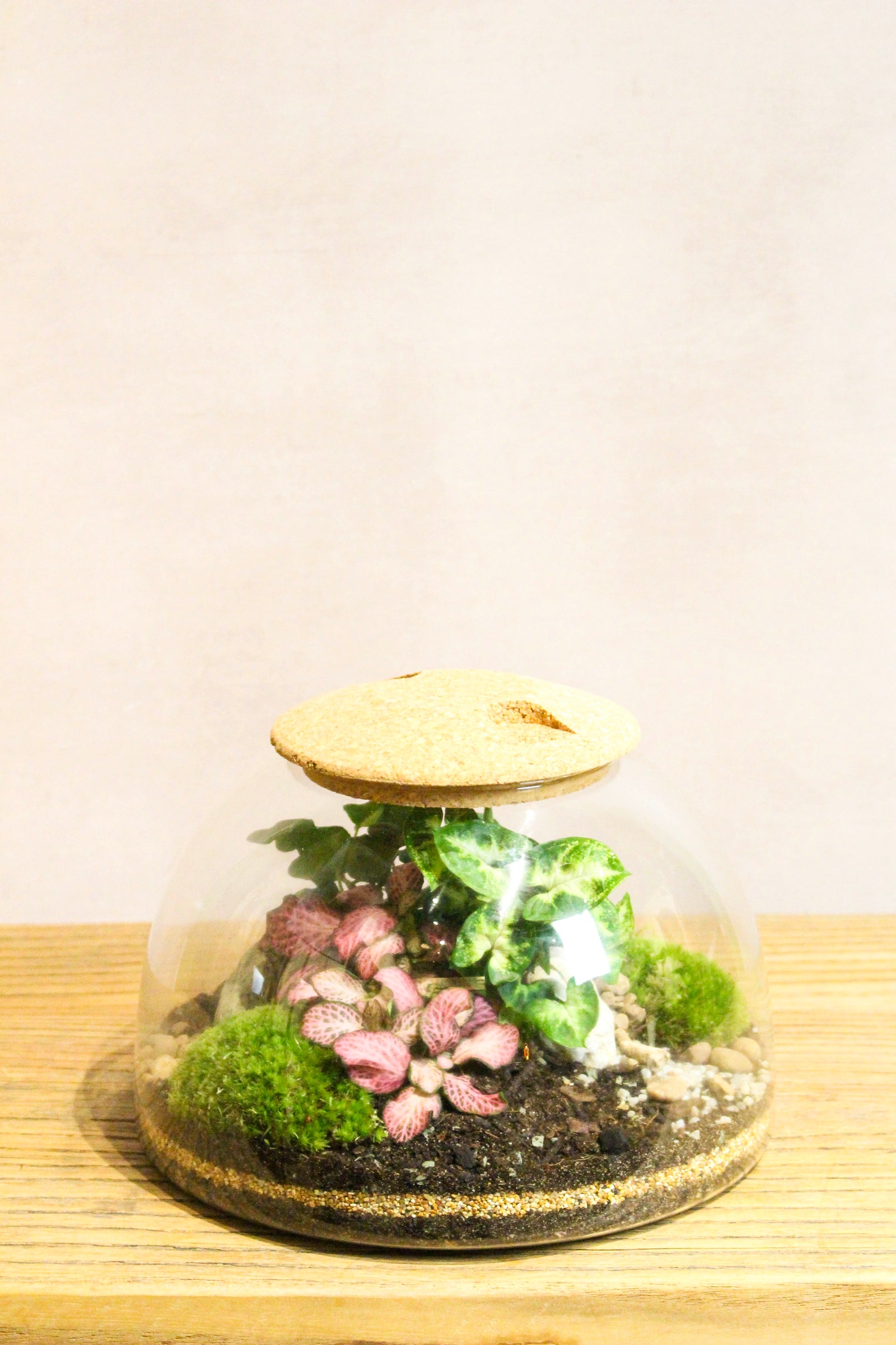 Eden Dome Terrarium 22cm