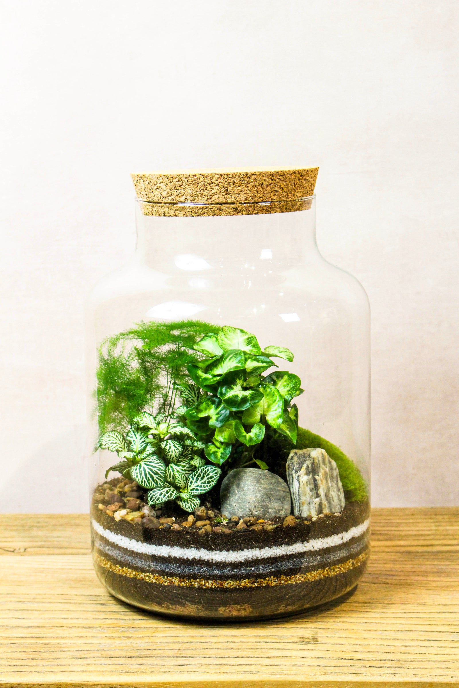 Handmade tropical tall cork jar terrarium with planting and bun moss