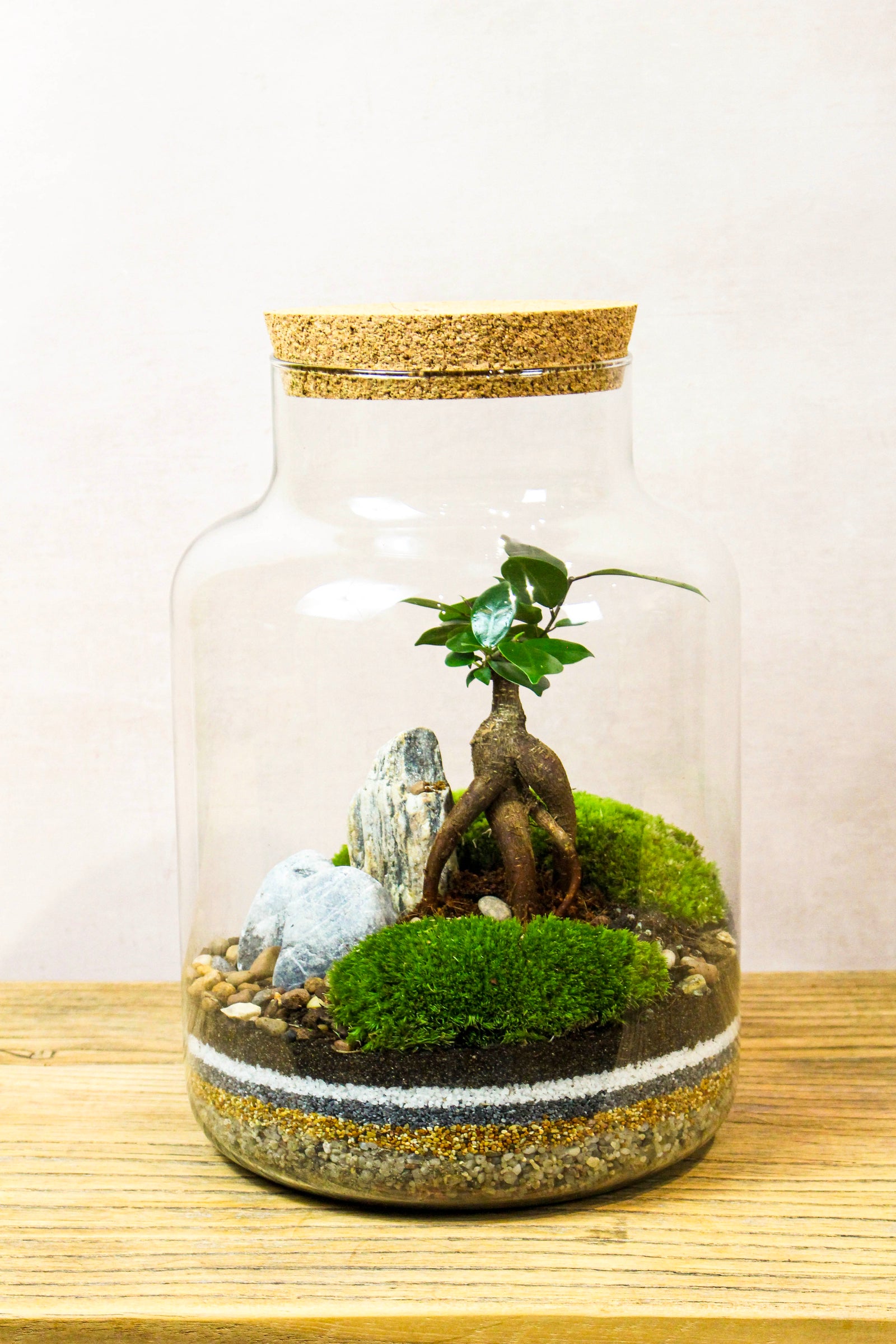 Handmade Zen tall cork jar terrarium with planting and bun moss