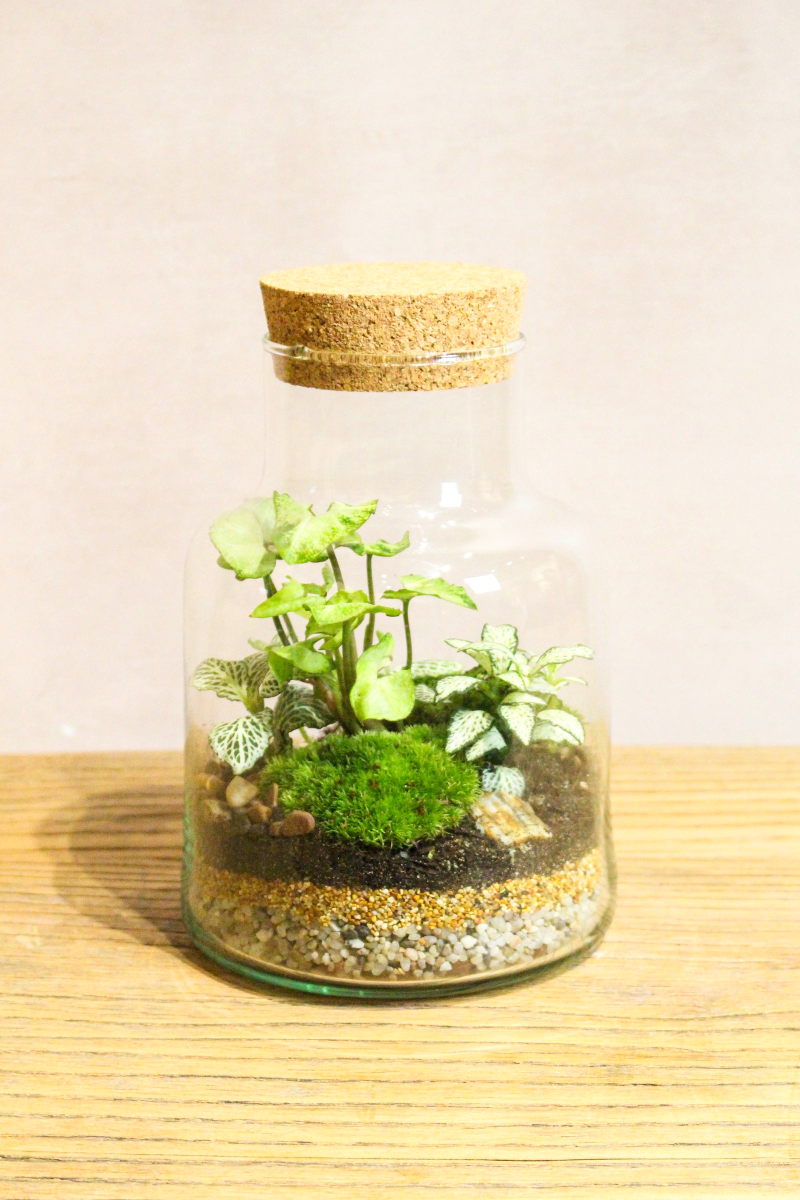 Slim cork jar terrarium kit, a tall narrow recycled-glass jar with cork lid and moss planting