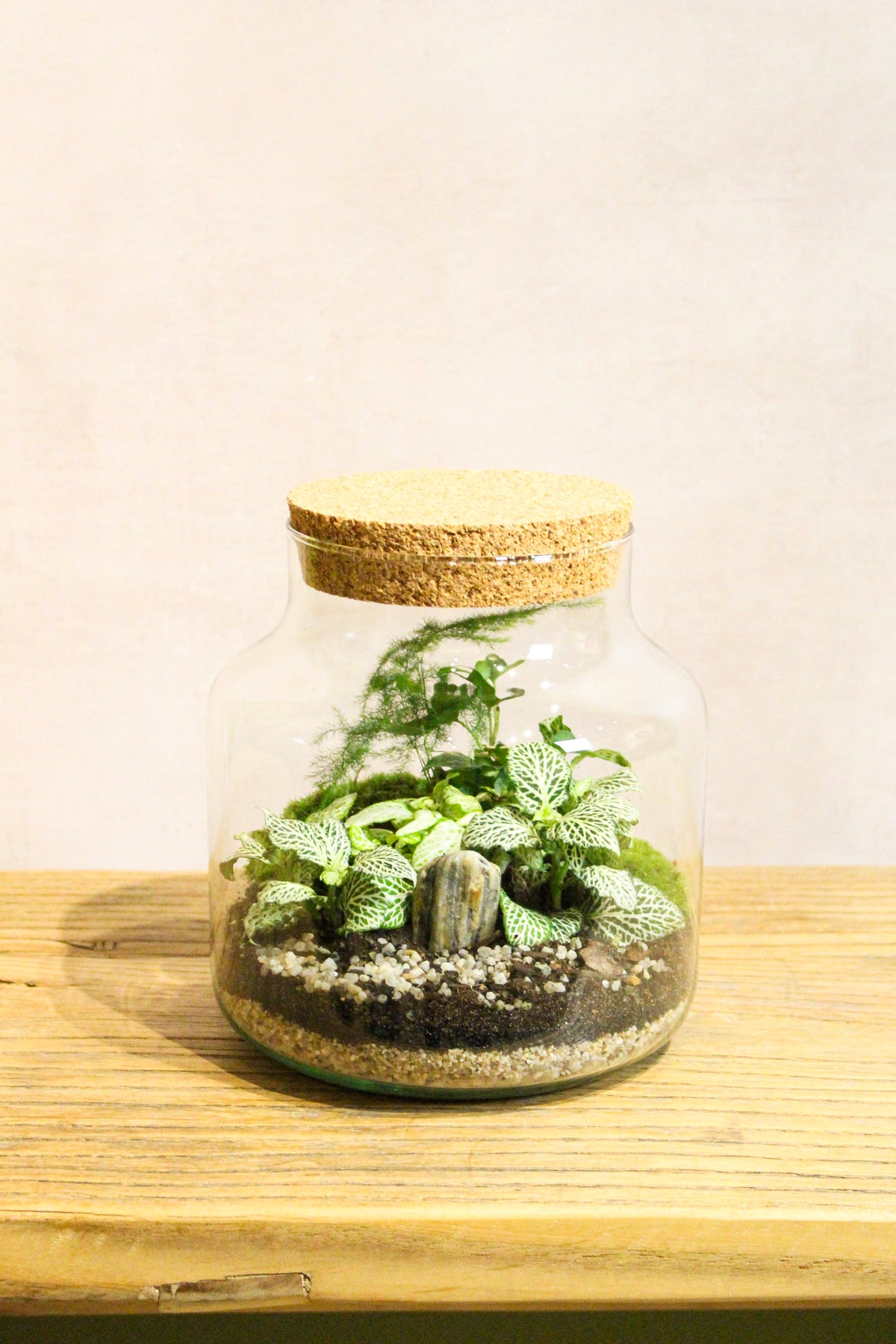 Terrarium Class - Upgrade Masterclass Cork Jar