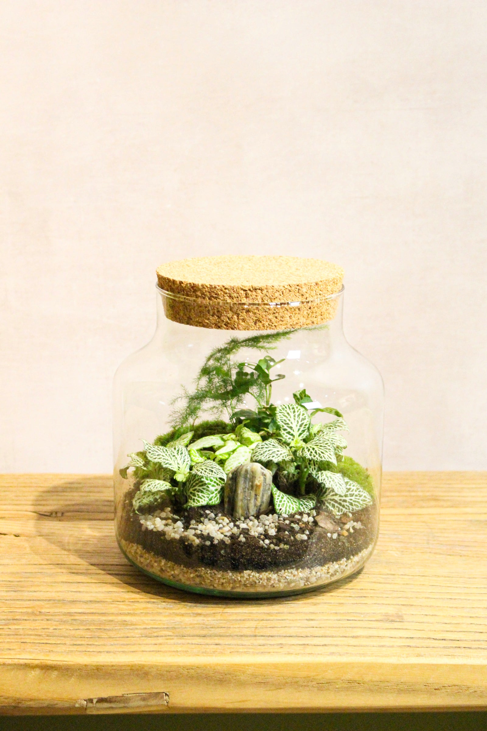 Terrarium Class - Upgrade Masterclass Cork Jar