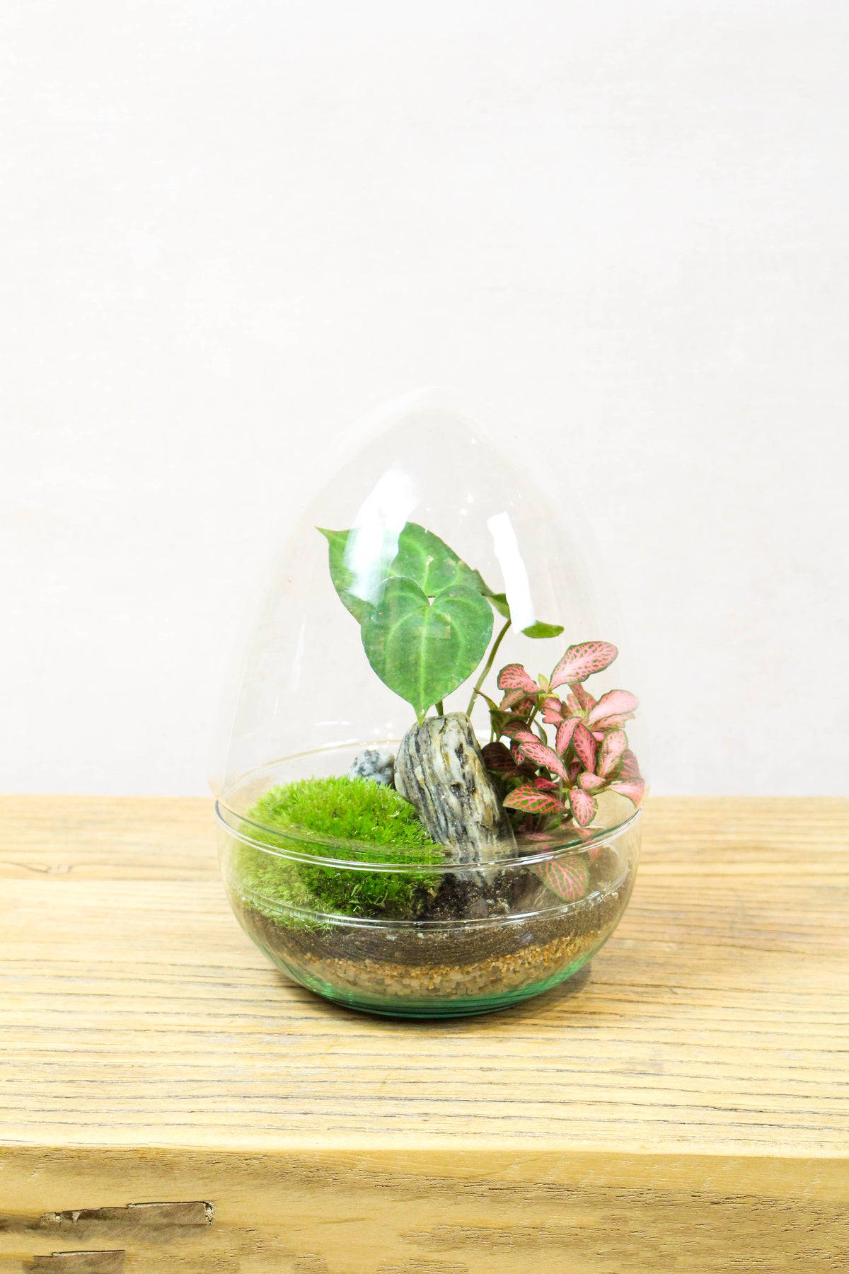 Glass Egg Terrarium (Tropical) 20cm