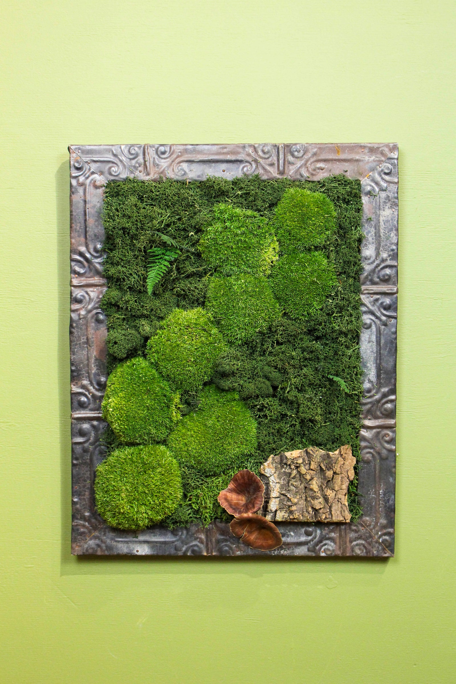 Preserved Moss Art (Victorian Frame)