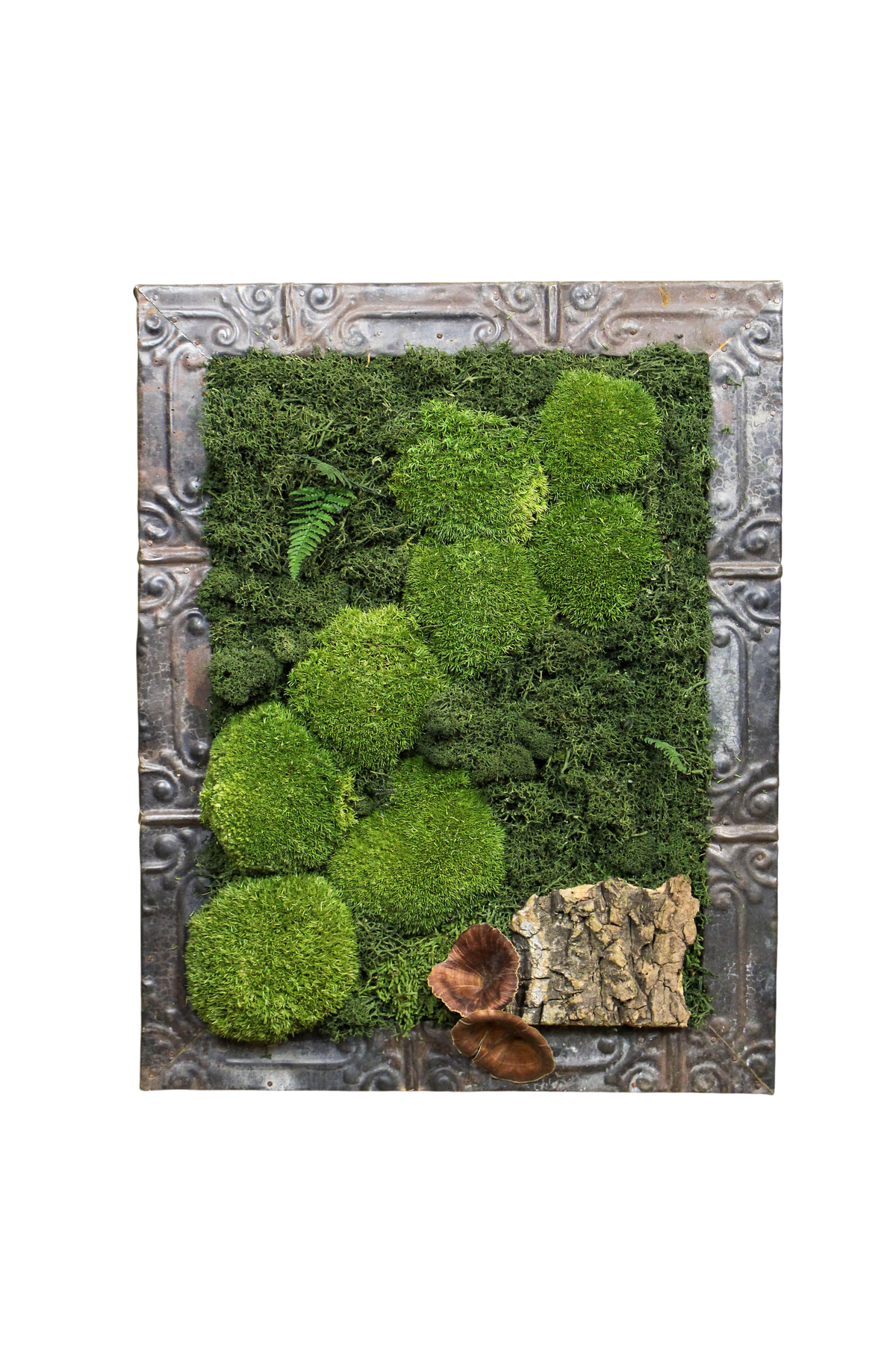 Preserved Moss Art (Victorian Frame)