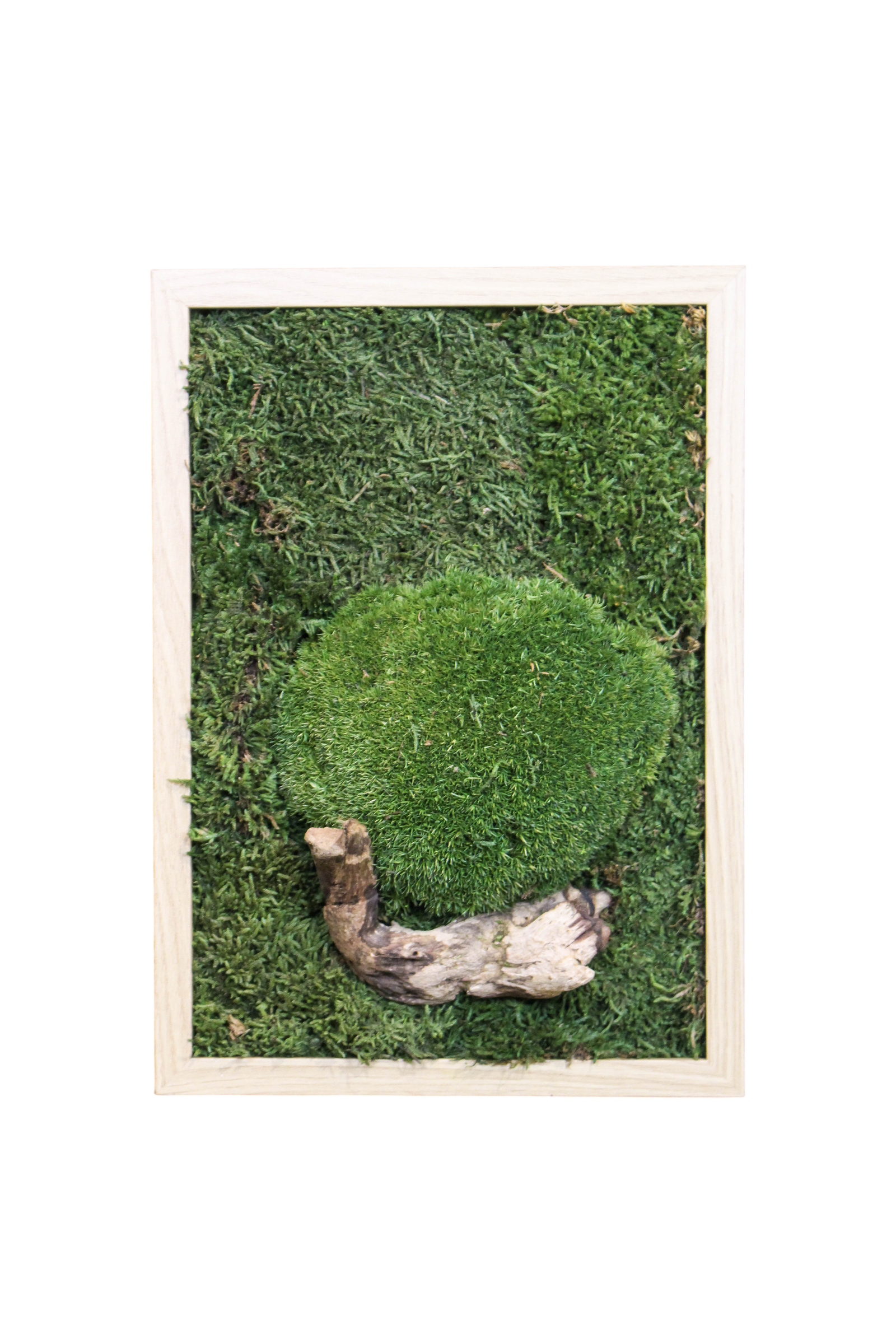 Preserved Moss Art (Wooden Frame)