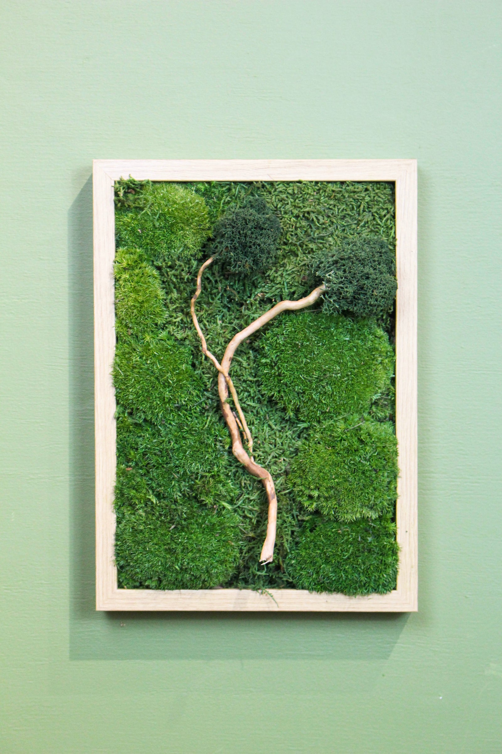 Preserved Moss Art - Zen (Wooden Frame) A4