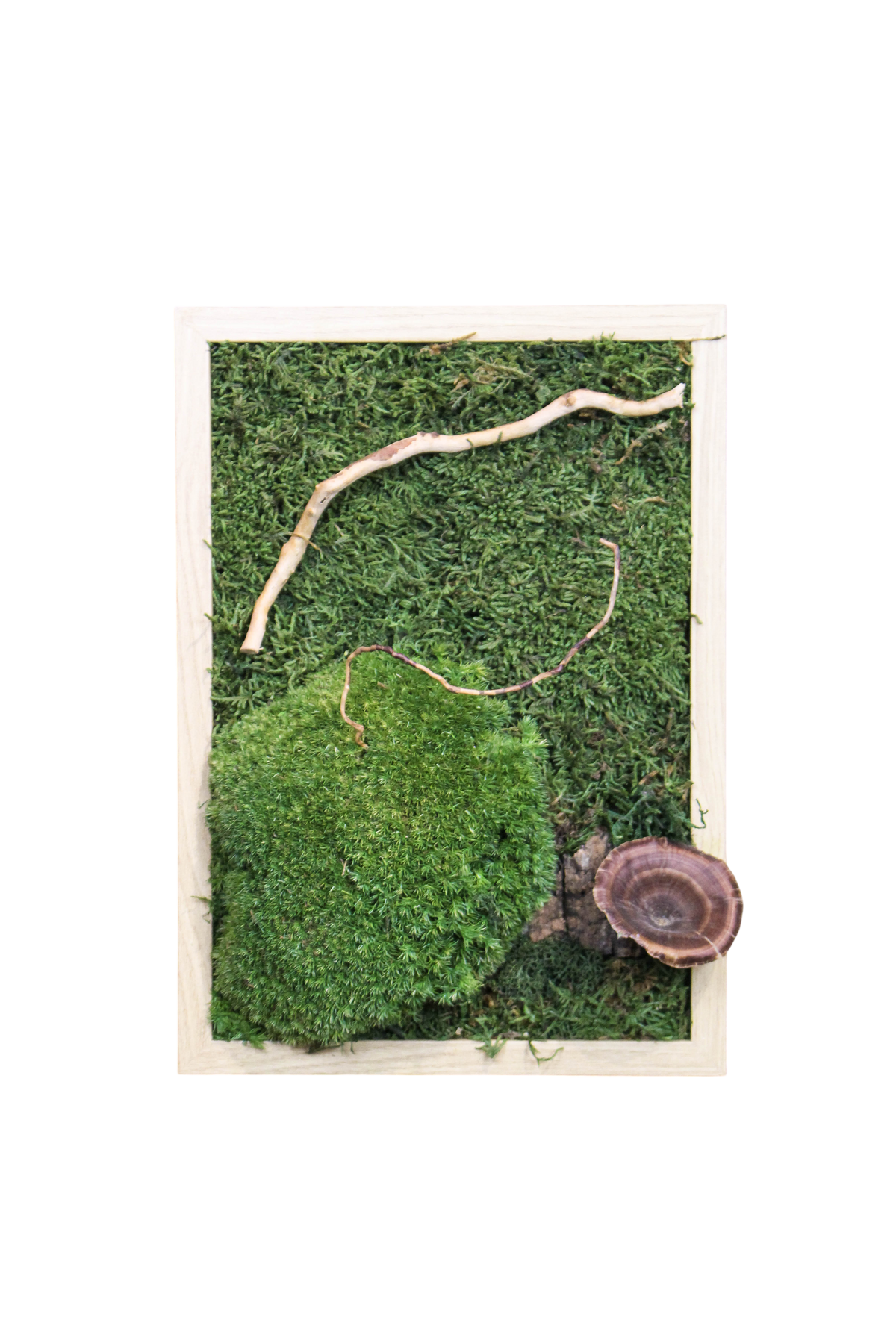 Preserved Moss Art - Mushroom (Wooden Frame) A4