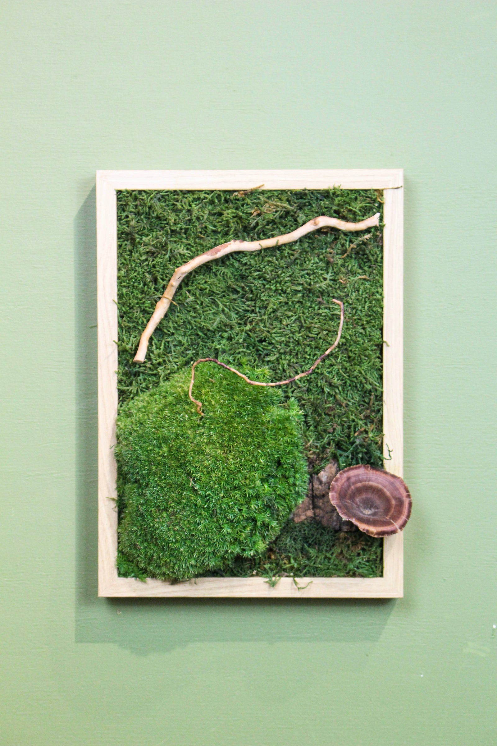 Preserved Moss Art - Mushroom (Wooden Frame) A4