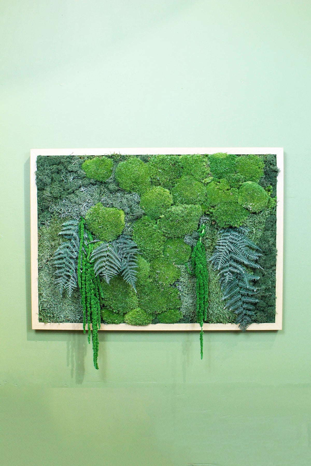 Preserved Moss Art (Forest Floor)