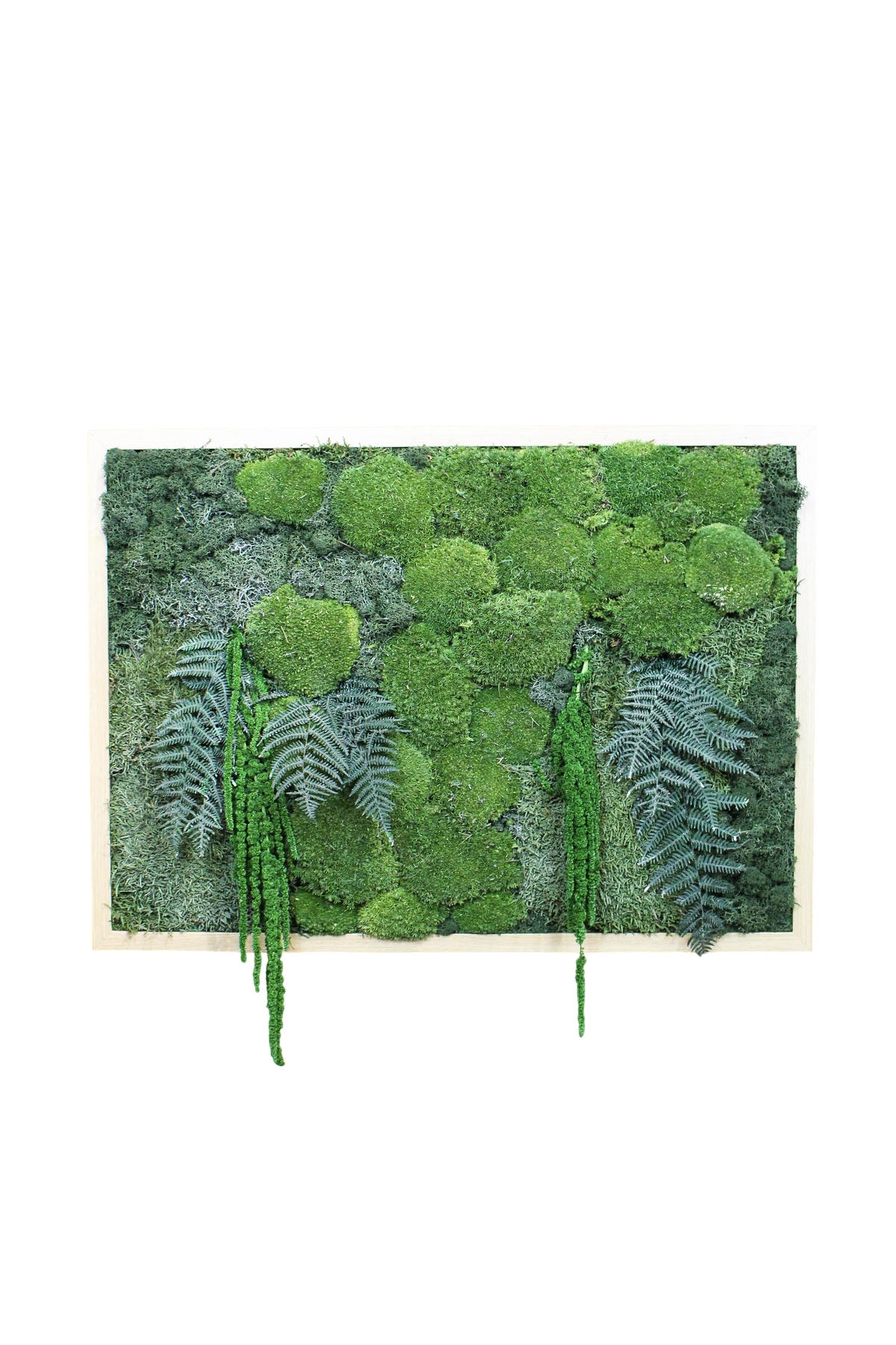 Preserved Moss Art (Forest Floor)