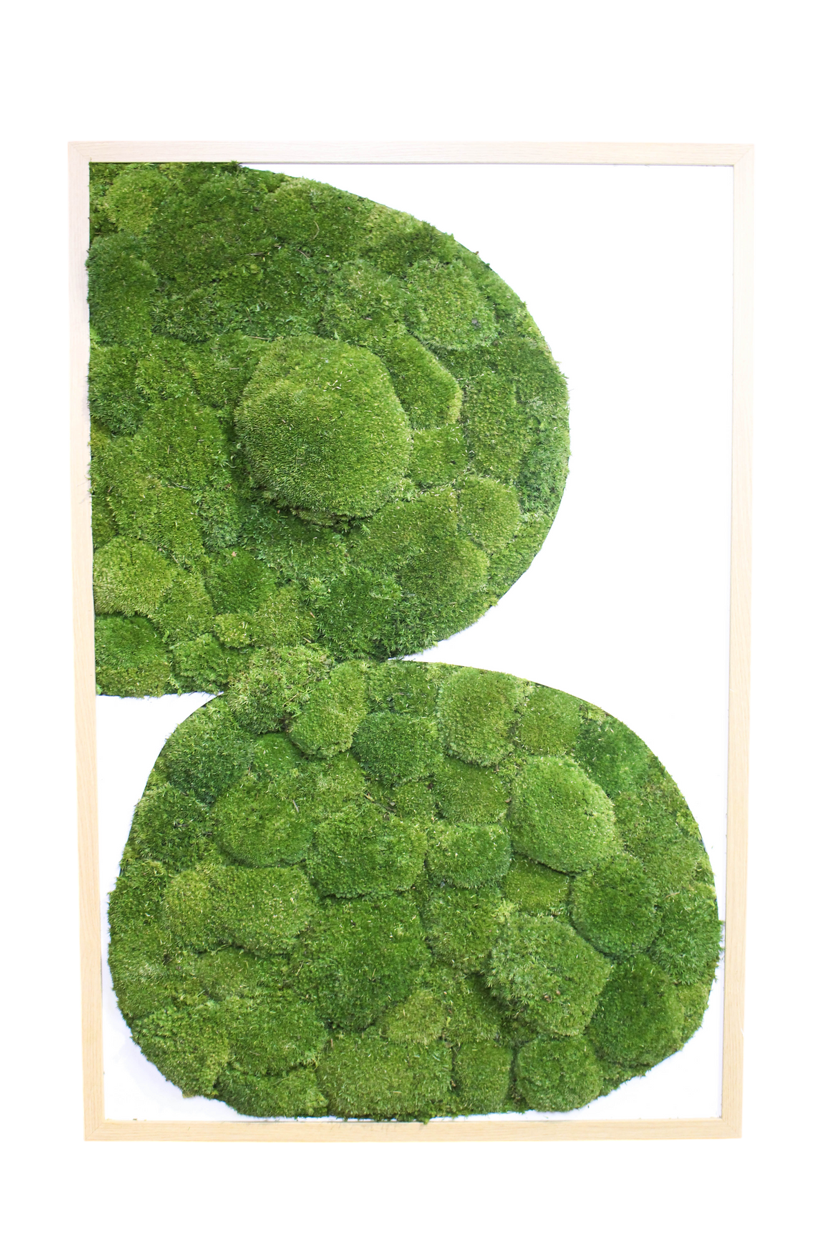 Preserved Moss Art - Contemporary