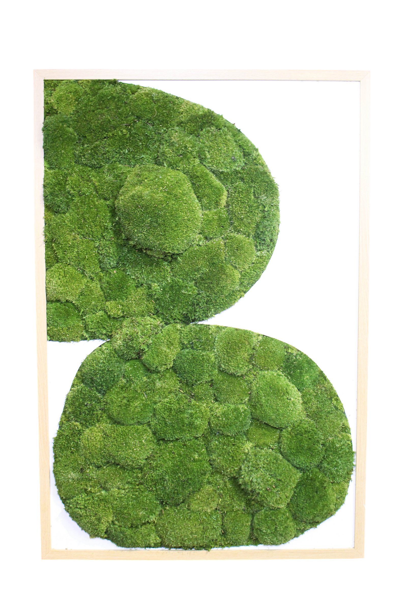 Preserved Moss Art - Contemporary