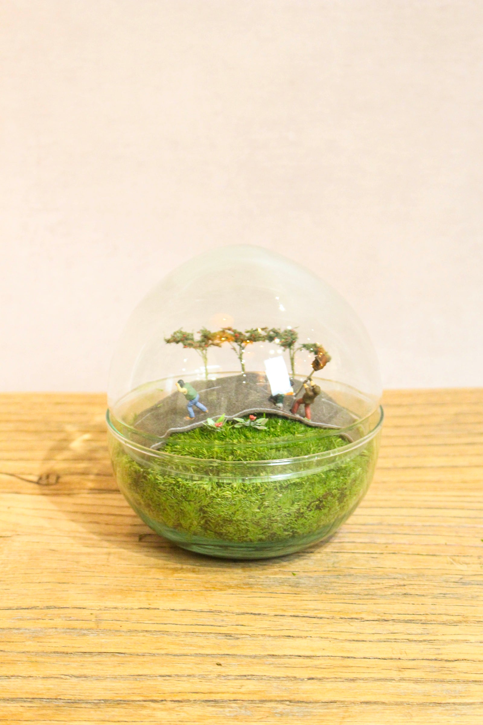Preserved Moss Globe Scene (Speed Camera)