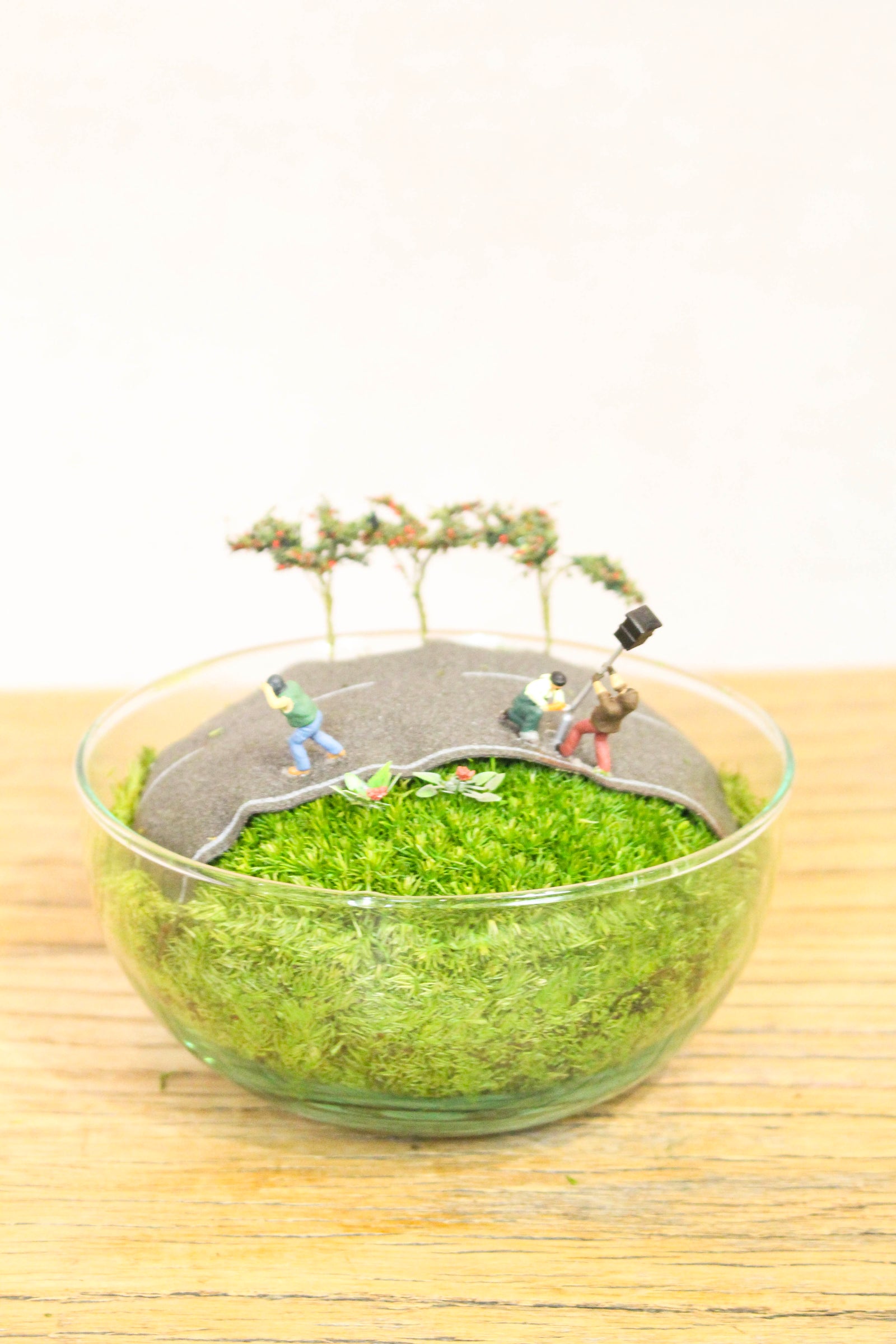 Preserved Moss Globe Scene (Speed Camera)