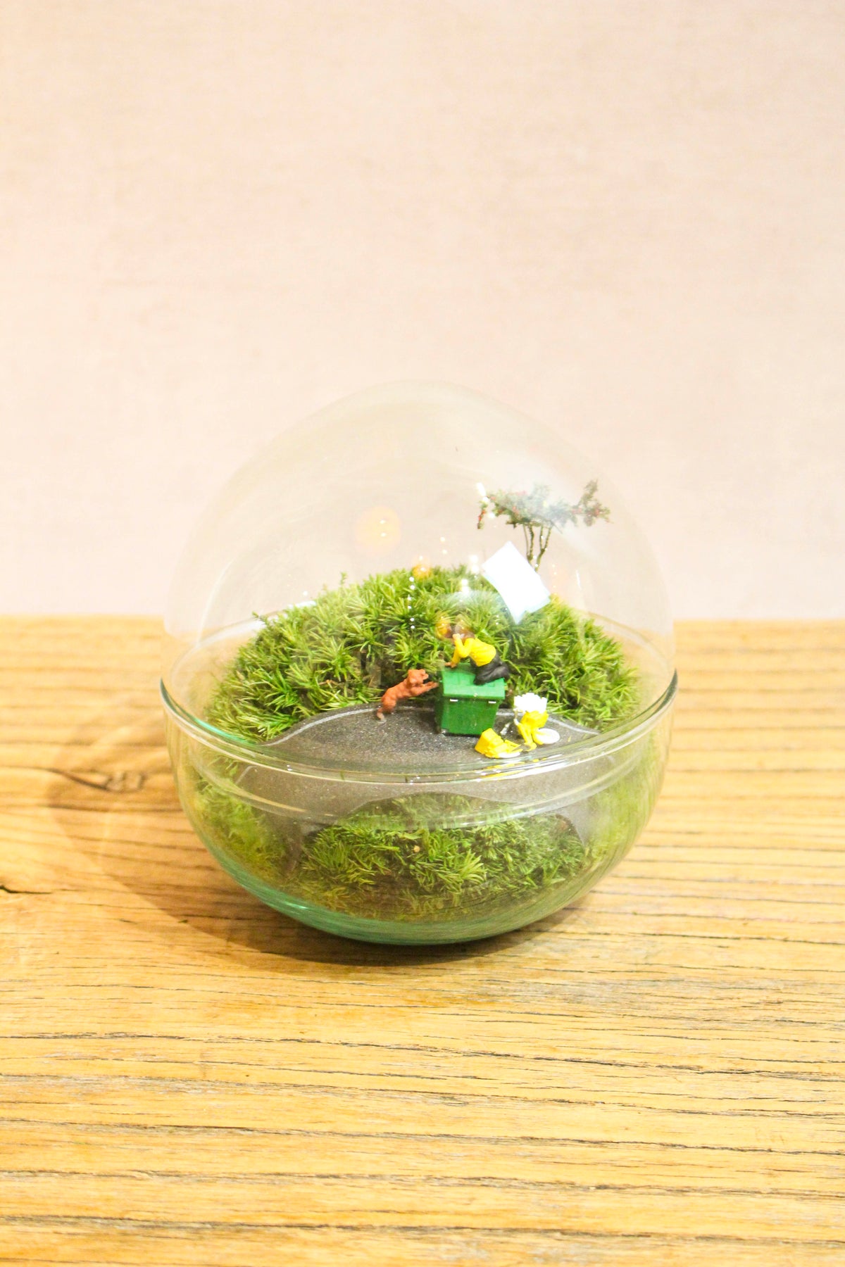 Preserved Moss Globe Scene (Beware Of The Dog)