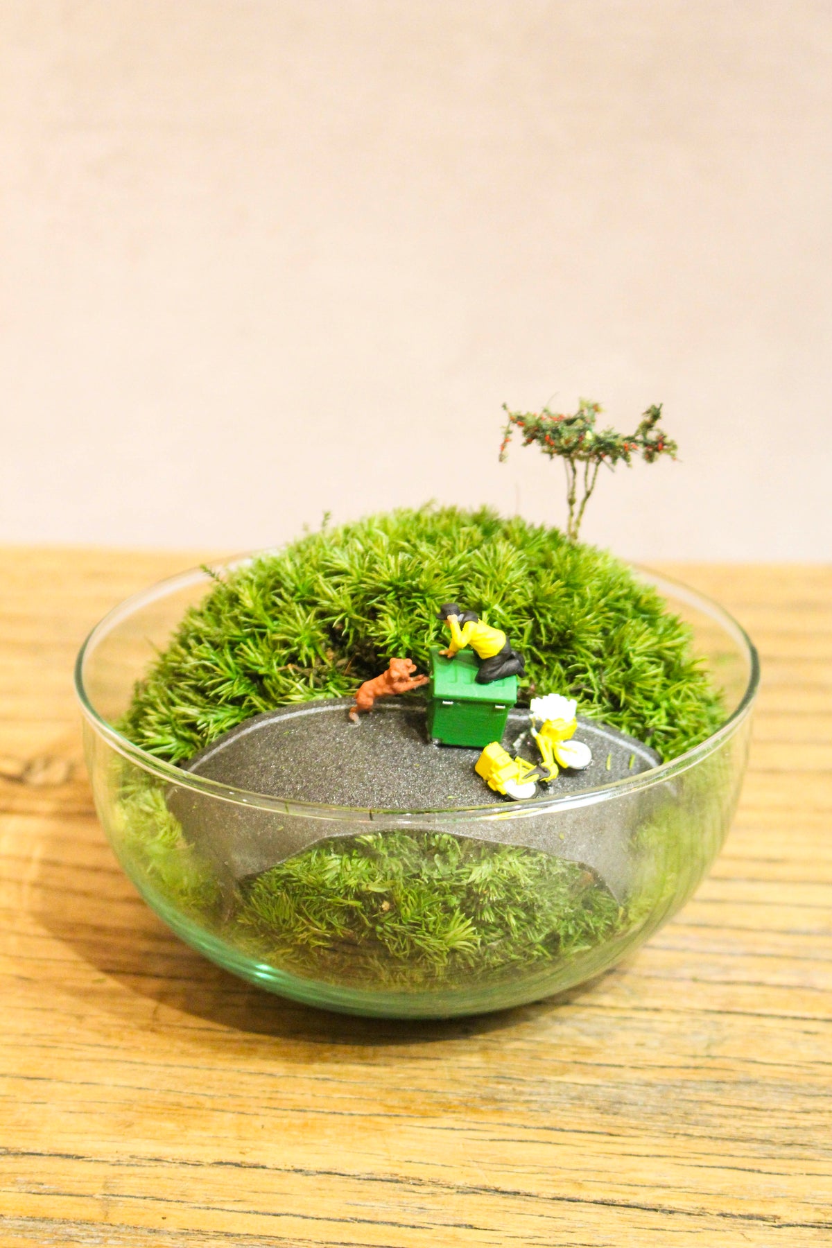 Preserved Moss Globe Scene (Beware Of The Dog)