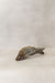 Driftwood Hand Carved Fish - (13.4)