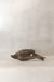 Driftwood Hand Carved Fish - (14.3)