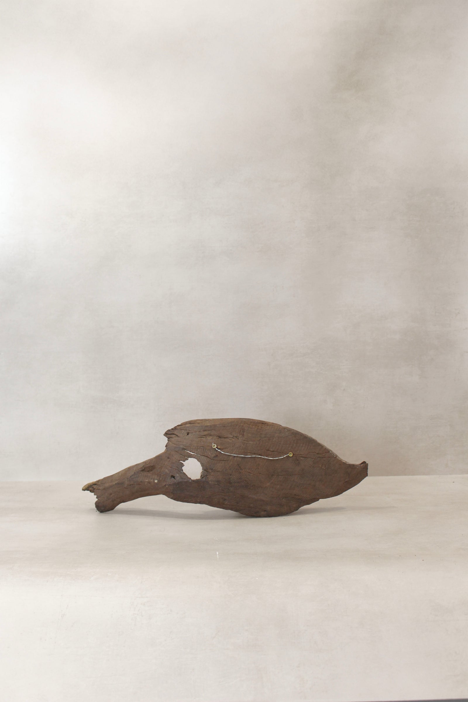 Driftwood Hand Carved Fish - (14.3)
