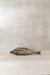 Driftwood Hand Carved Fish - (14.4)