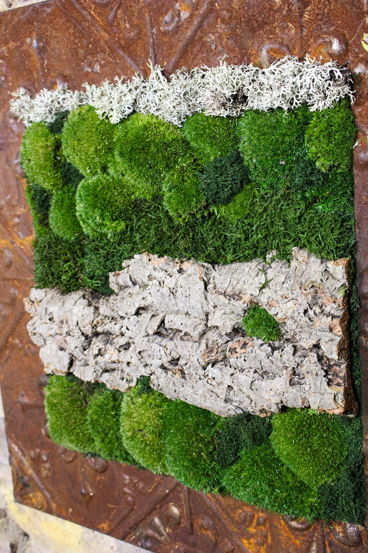 Preserved Moss Art (Victorian Frame) FR72