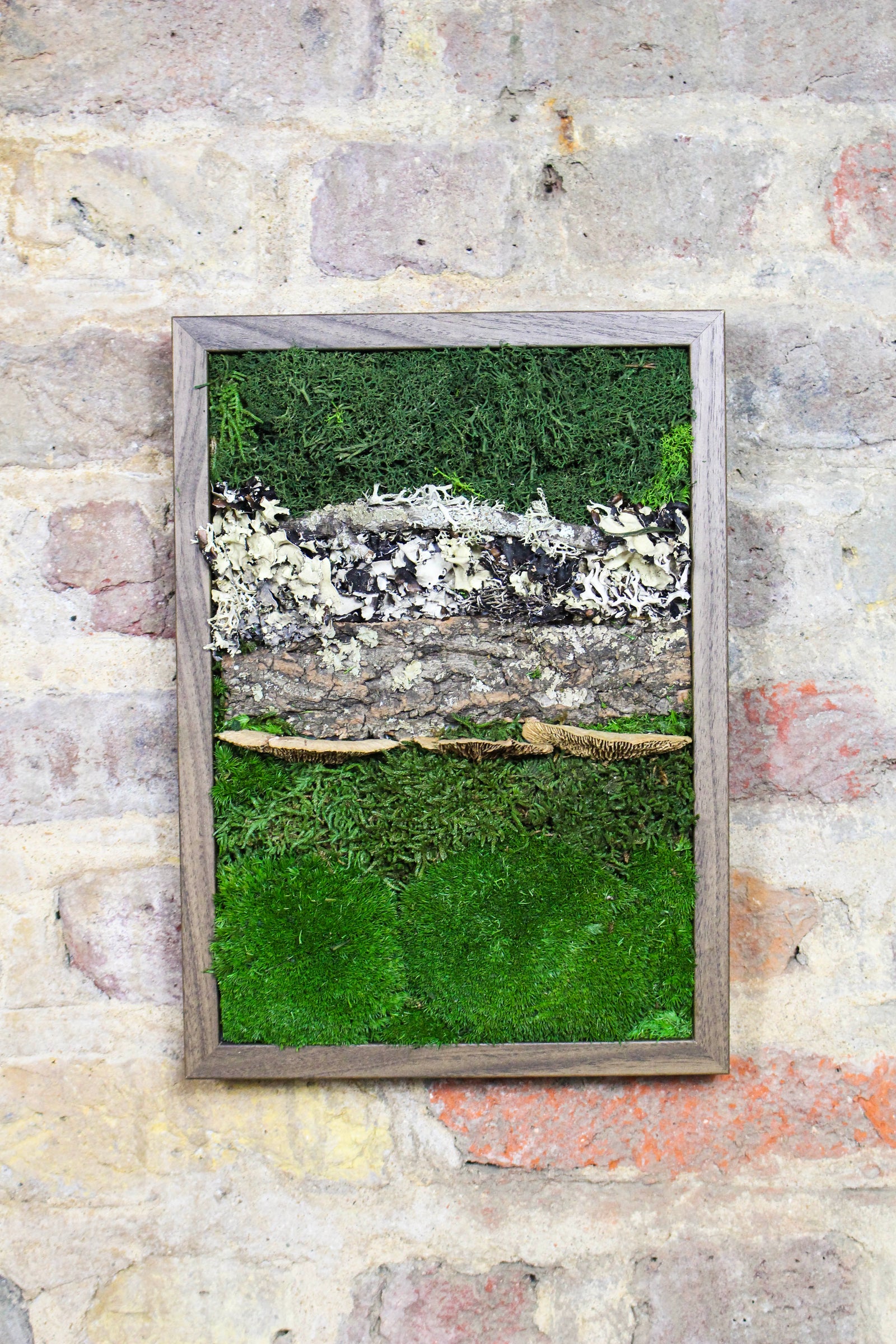 Preserved Moss Art - (Wooden Frame) A4 FR73