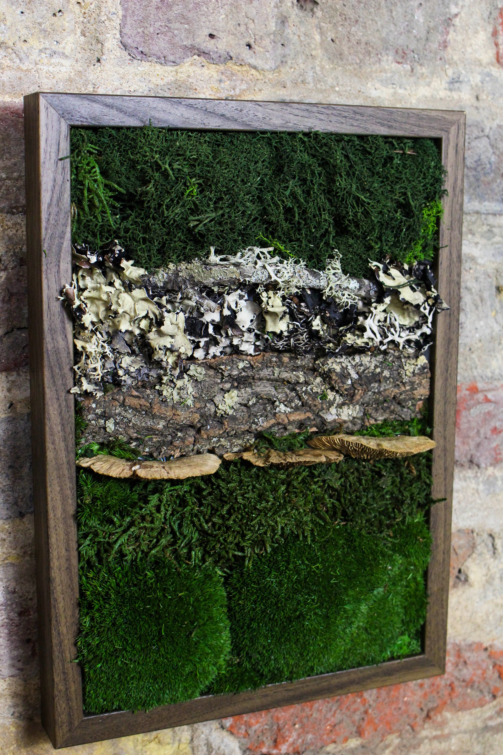 Preserved Moss Art - (Wooden Frame) A4 FR73