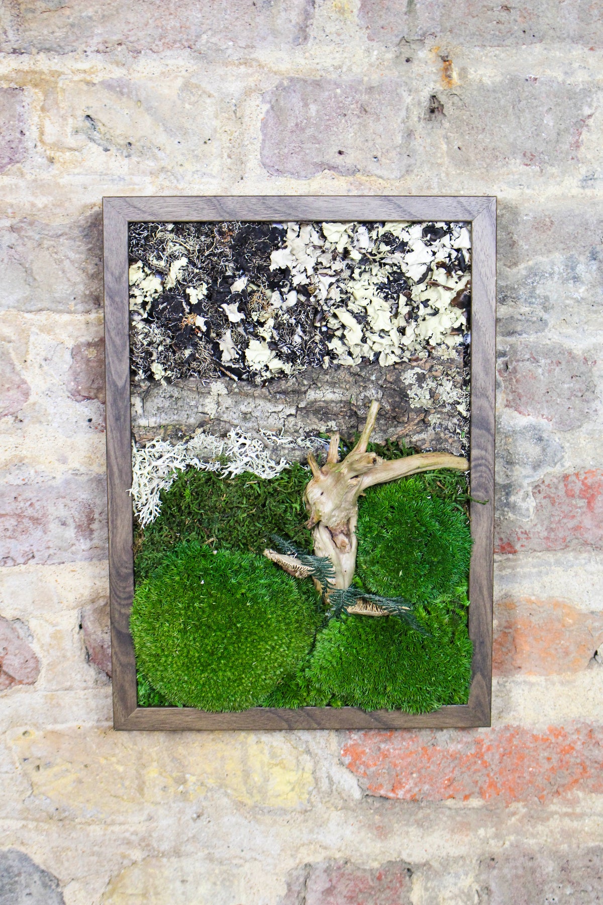 Preserved Moss Art - (Wooden Frame) A4 FR74