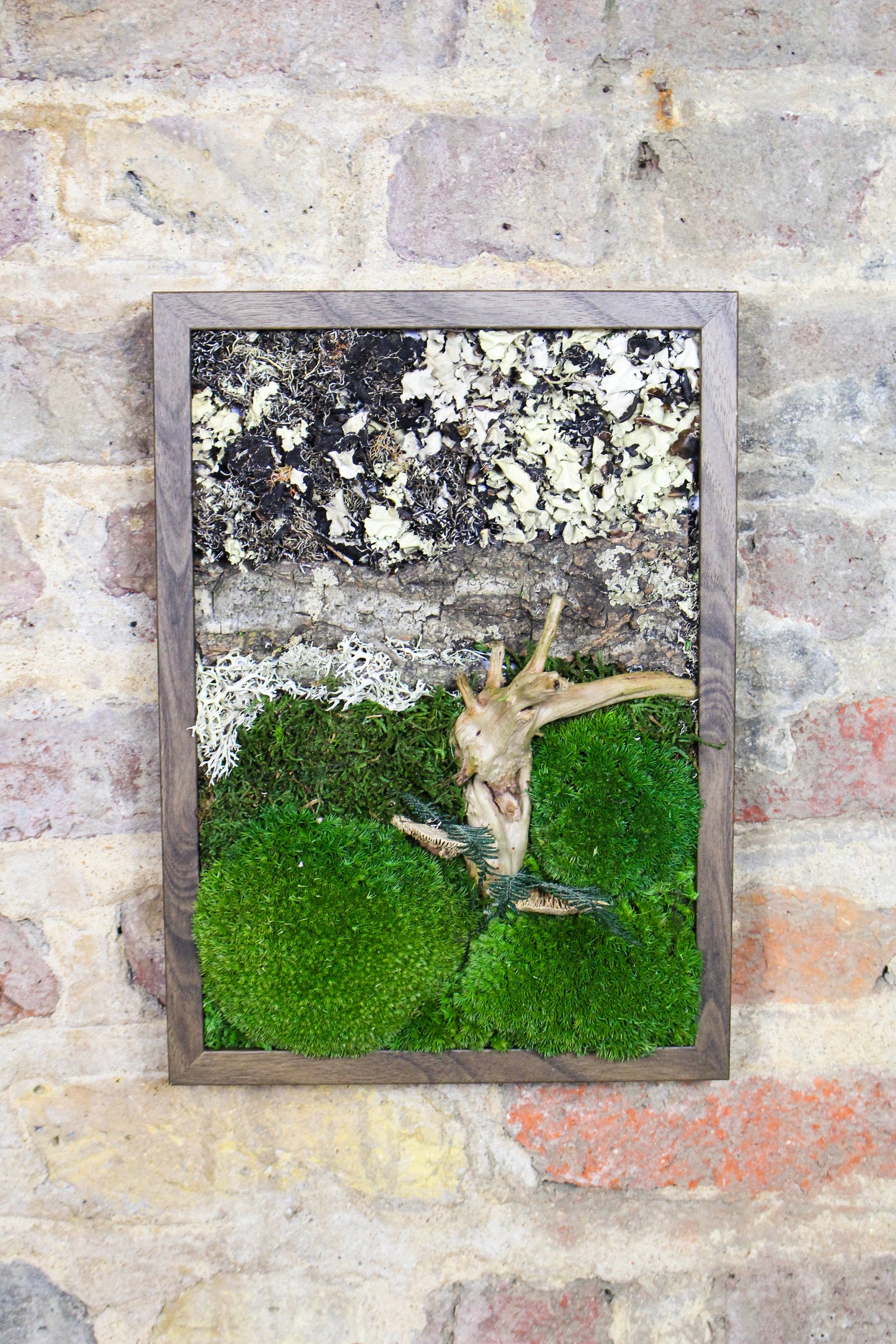 Preserved Moss Art - (Wooden Frame) A4 FR74