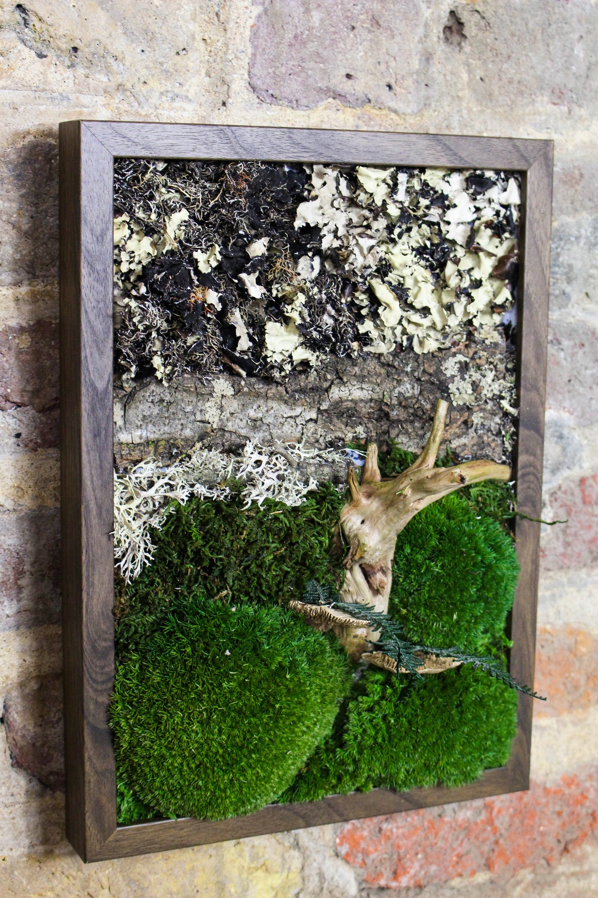 Preserved Moss Art - (Wooden Frame) A4 FR74