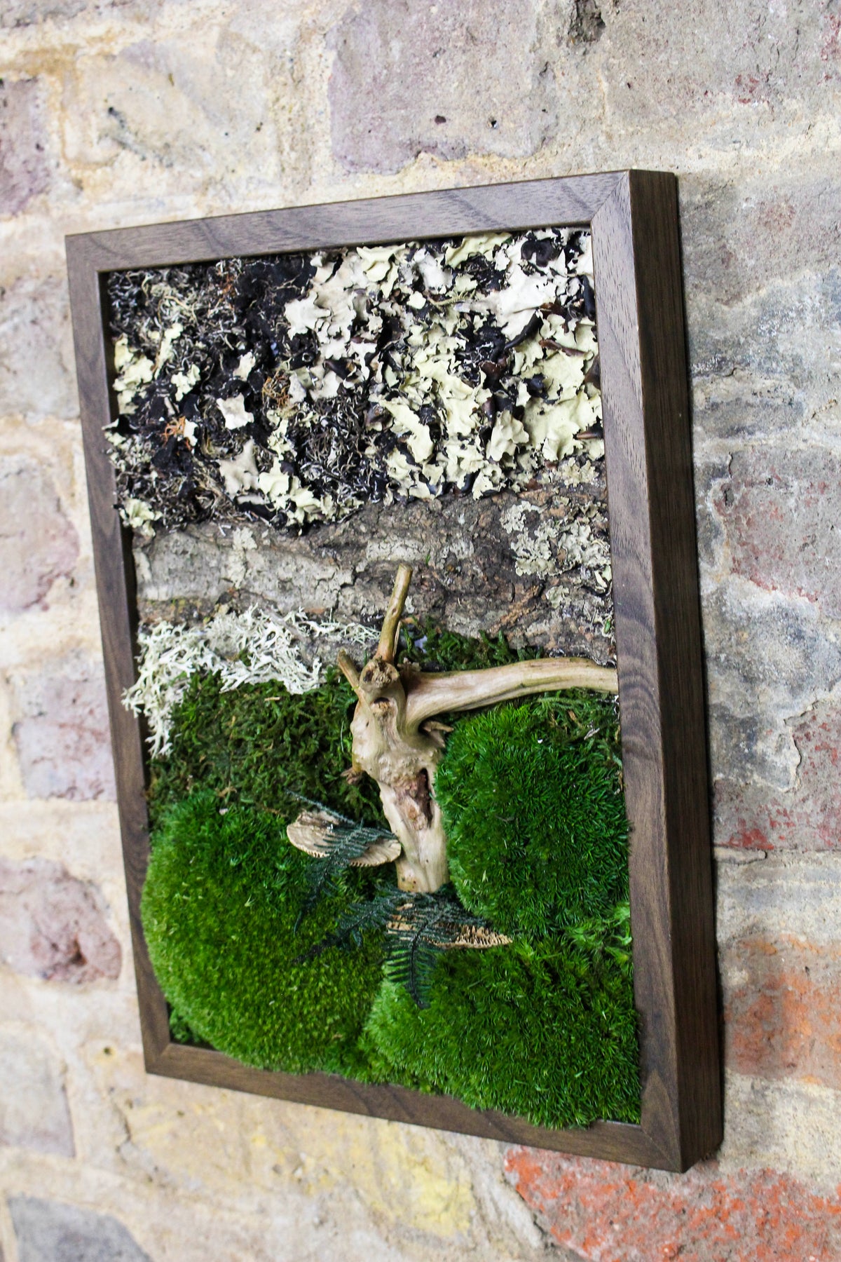 Preserved Moss Art - (Wooden Frame) A4 FR74
