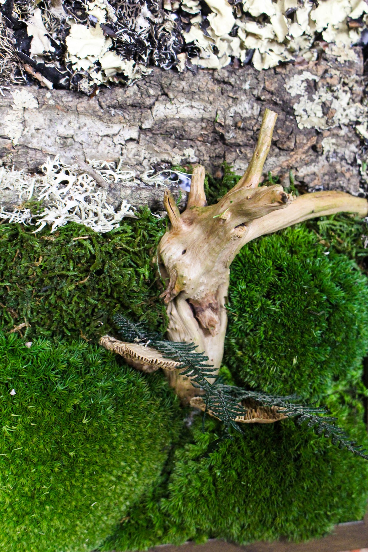 Preserved Moss Art - (Wooden Frame) A4 FR74