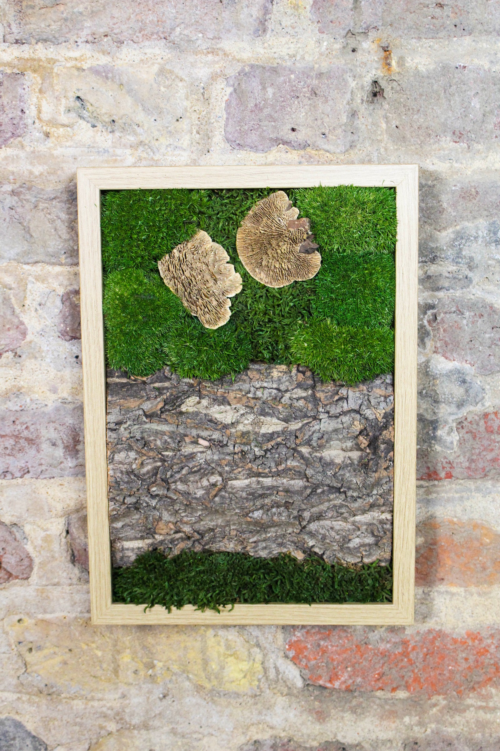 Preserved Moss Art - (Wooden Frame) A4 FR75