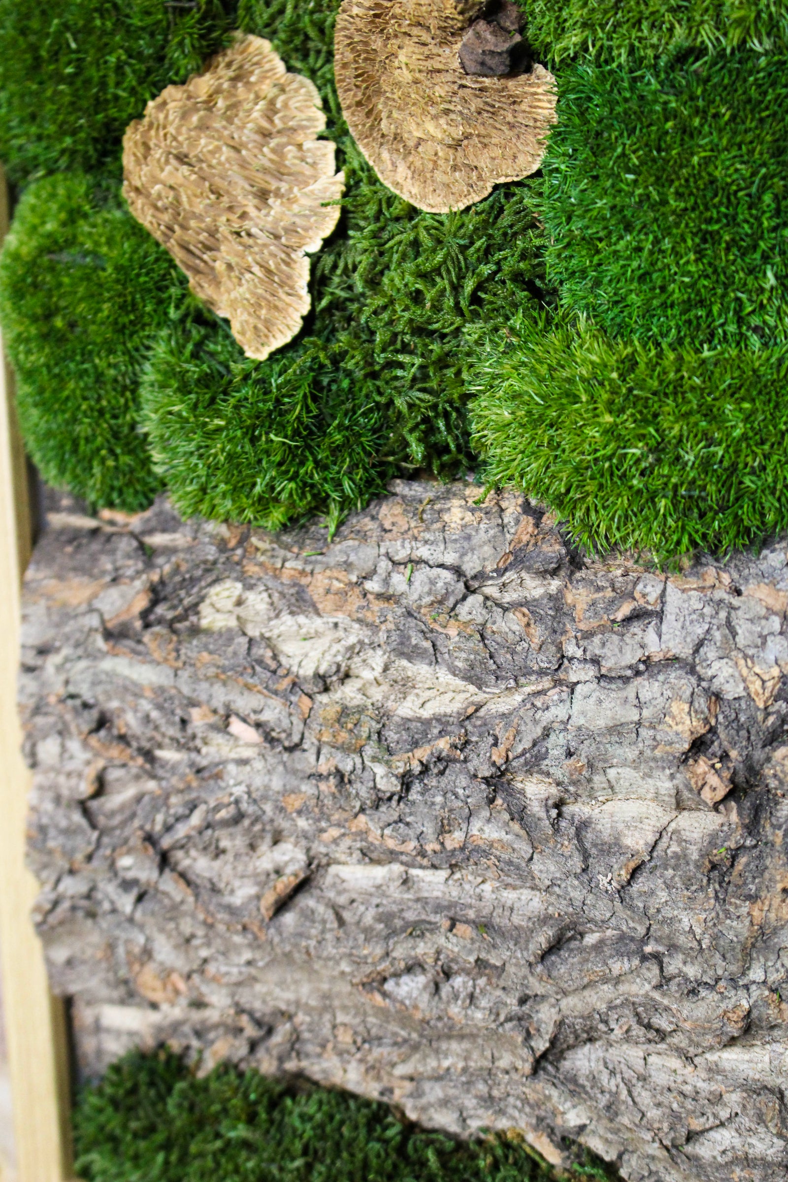 Preserved Moss Art - (Wooden Frame) A4 FR75