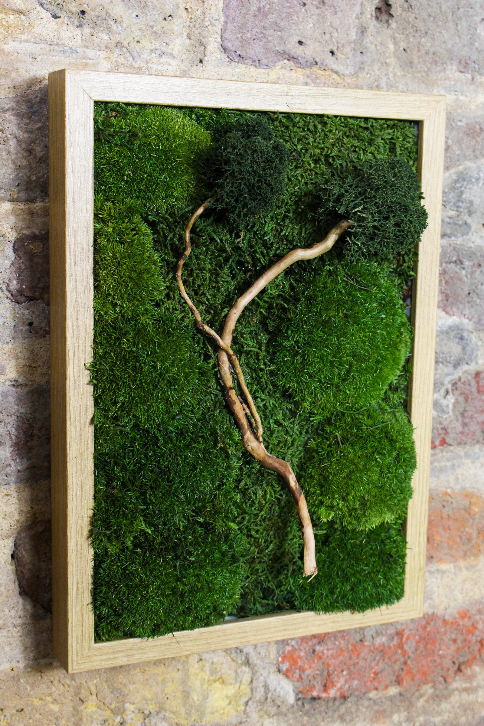 Preserved Moss Art - (Wooden Frame) A4 FR76