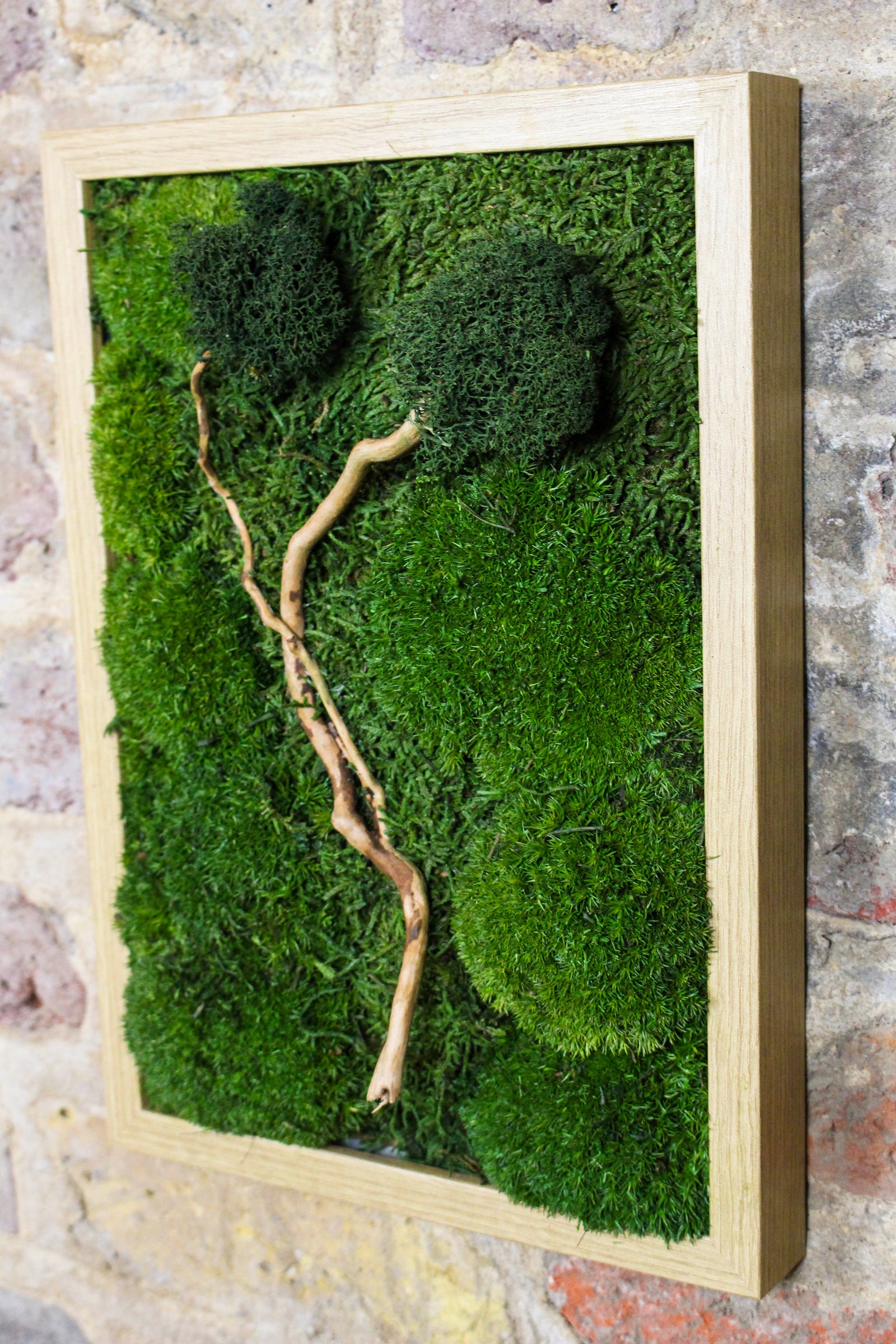 Preserved Moss Art - (Wooden Frame) A4 FR76