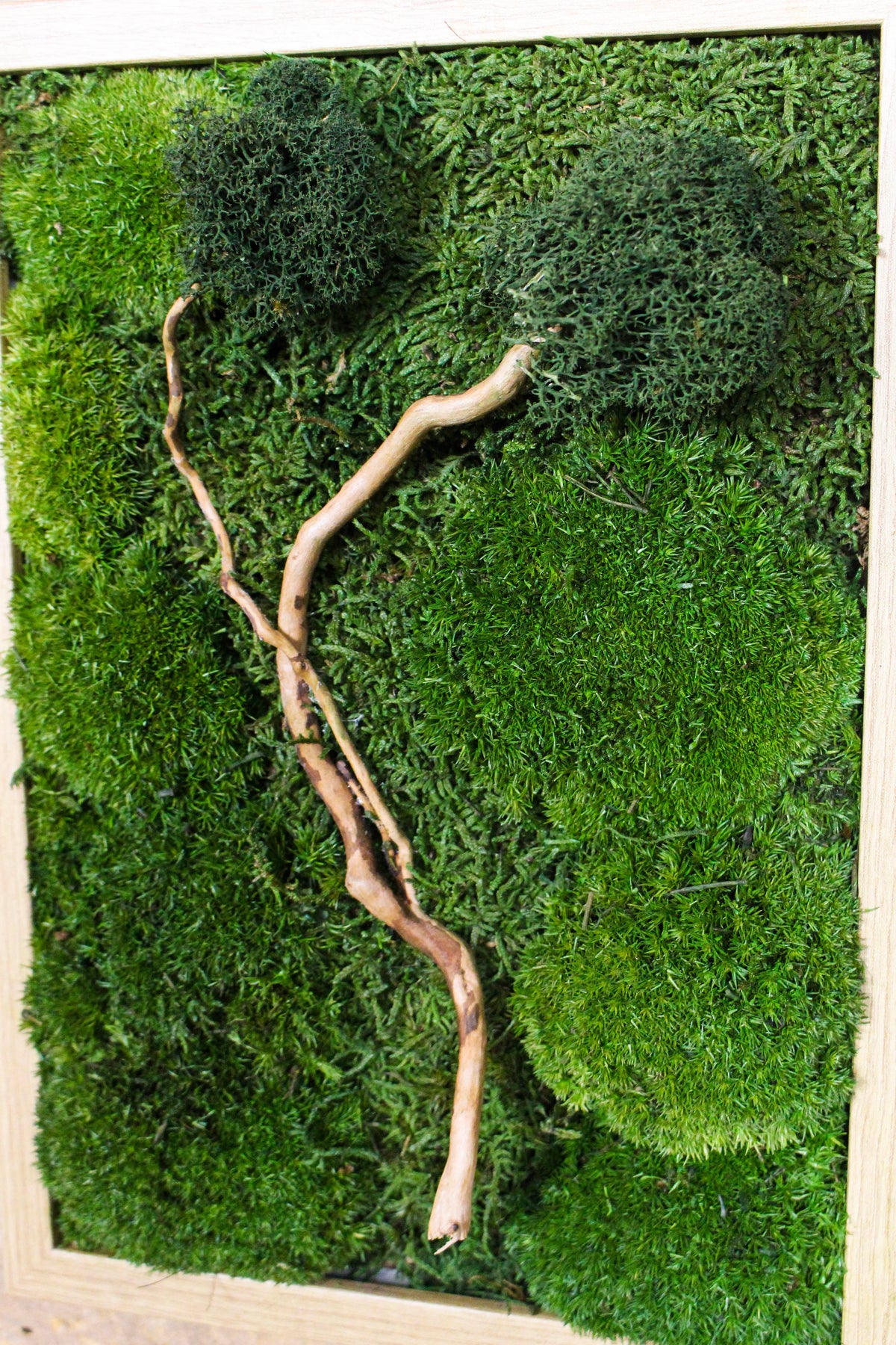 Preserved Moss Art - (Wooden Frame) A4 FR76