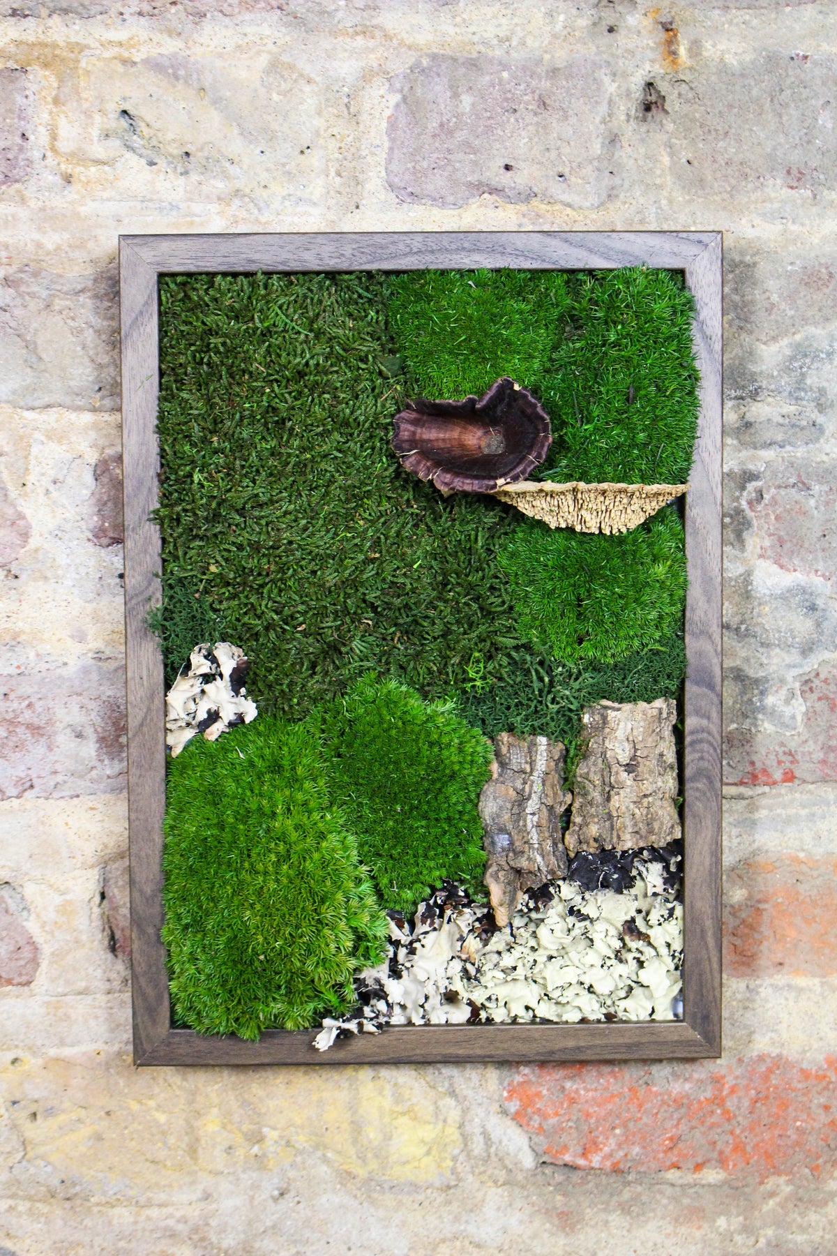 Preserved Moss Art - (Wooden Frame) A4 FR77