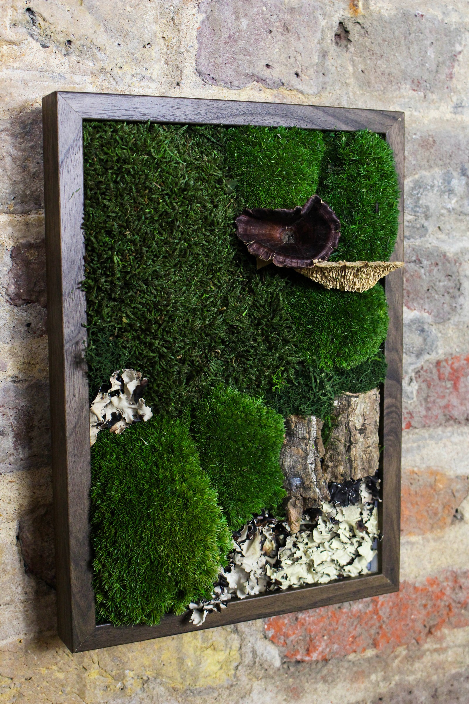 Preserved Moss Art - (Wooden Frame) A4 FR77