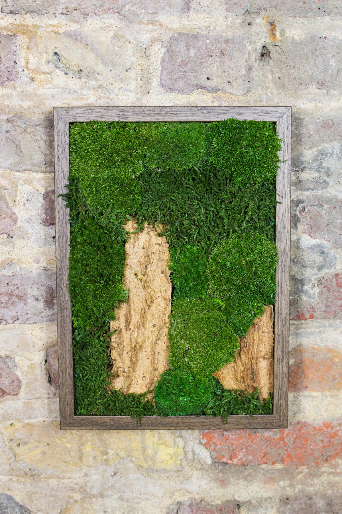 Preserved Moss Art - (Wooden Frame) A4 FR78