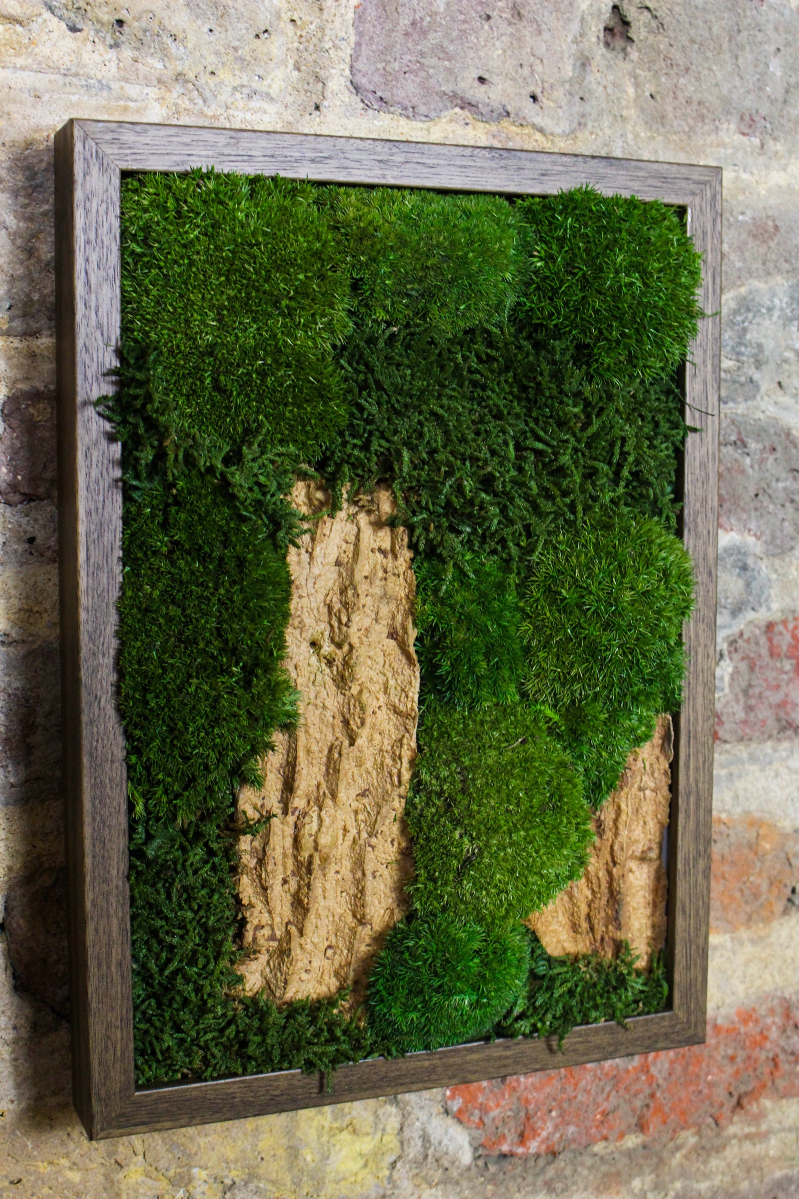 Preserved Moss Art - (Wooden Frame) A4 FR78