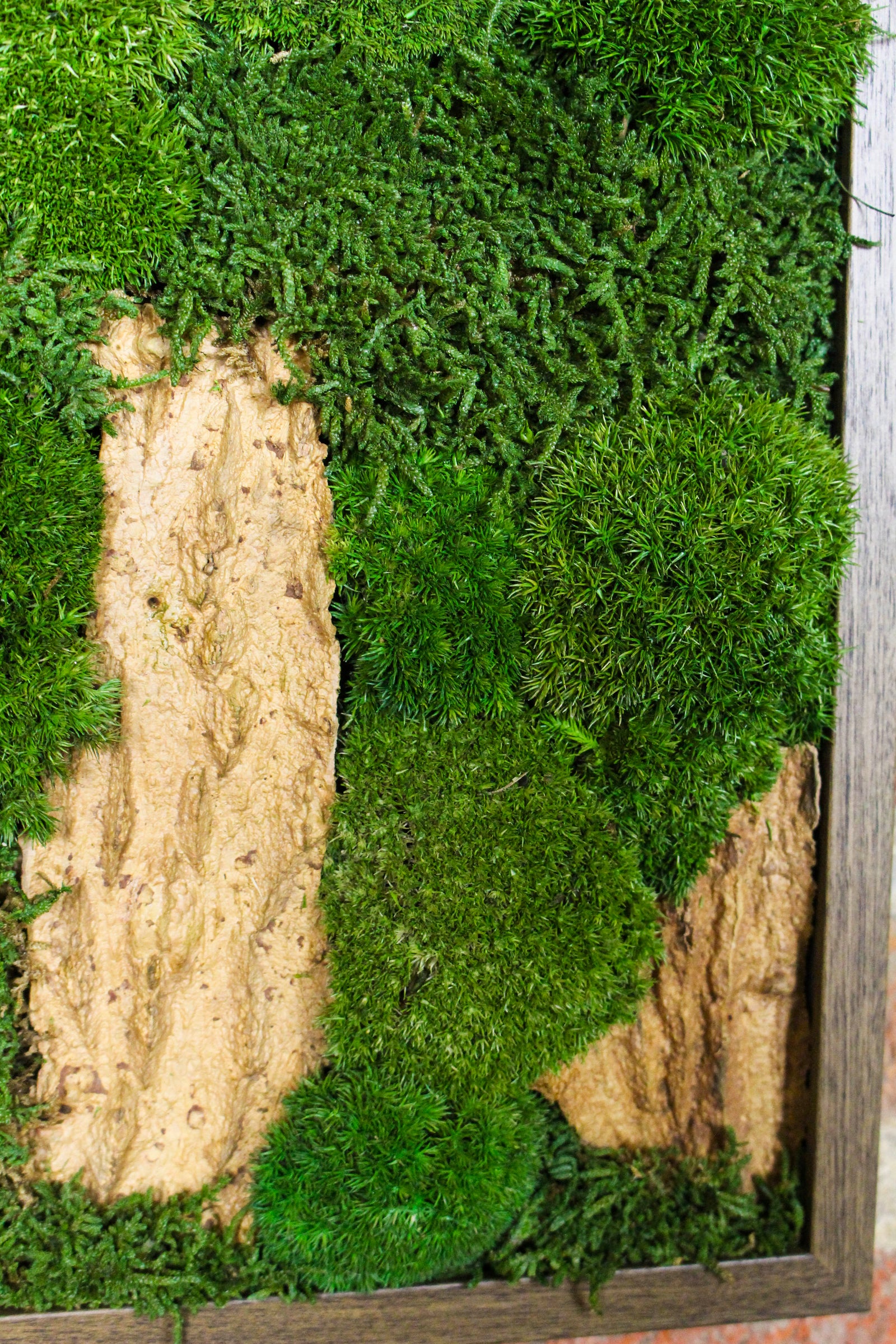 Preserved Moss Art - (Wooden Frame) A4 FR78