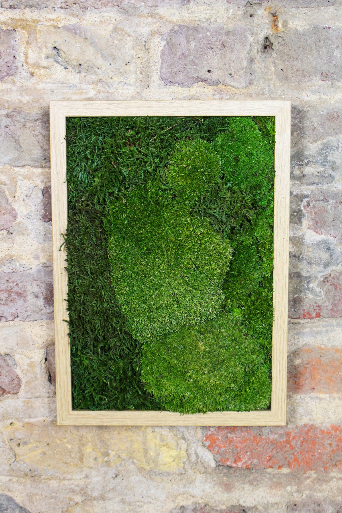 Preserved Moss Art - (Wooden Frame) A4 FR79