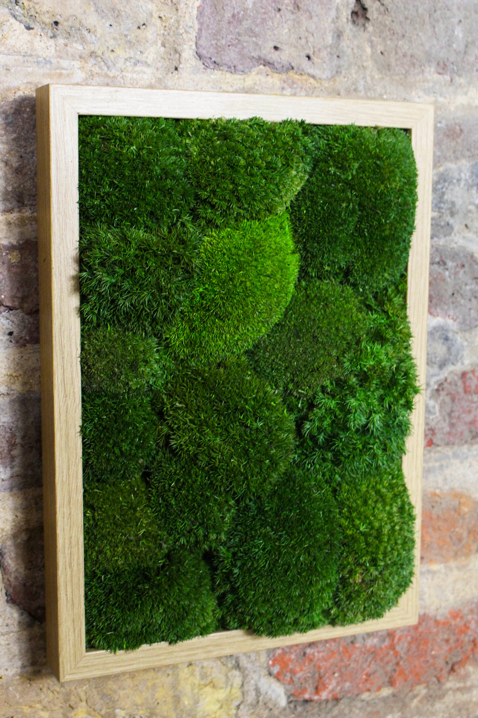 Preserved Moss Art - (Wooden Frame) A4 FR80