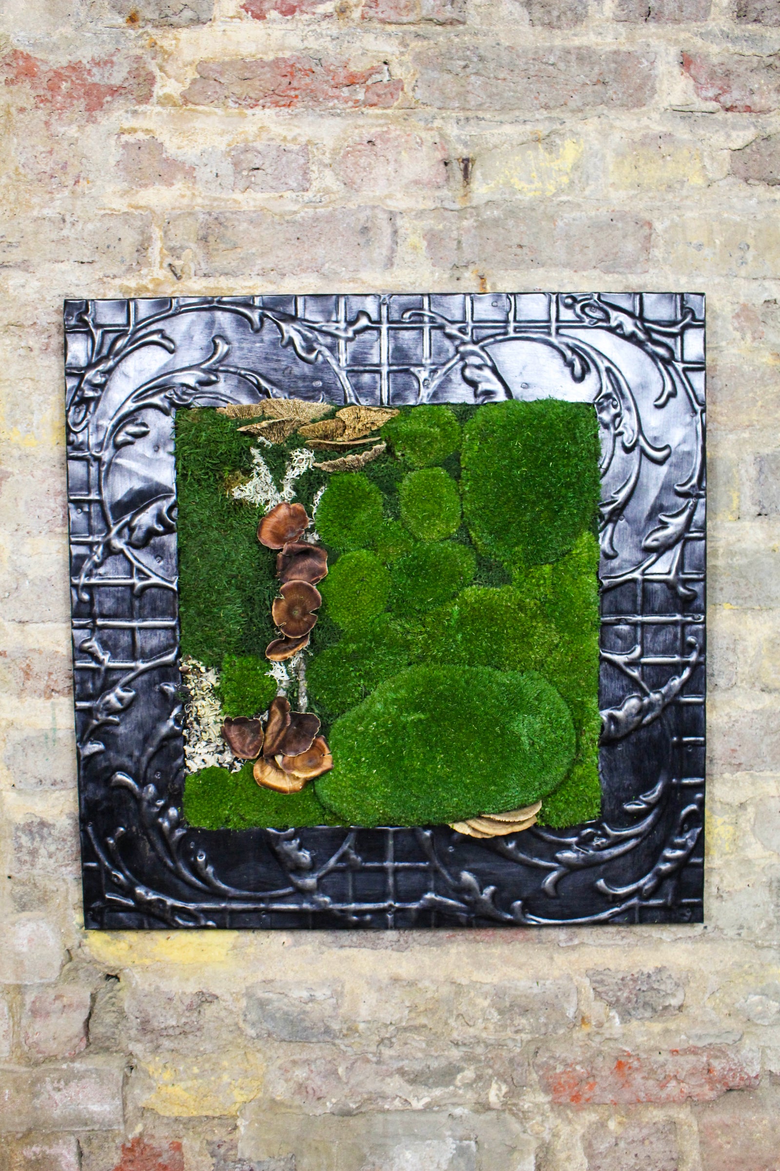 Preserved Moss Art (Victorian Frame) FR81