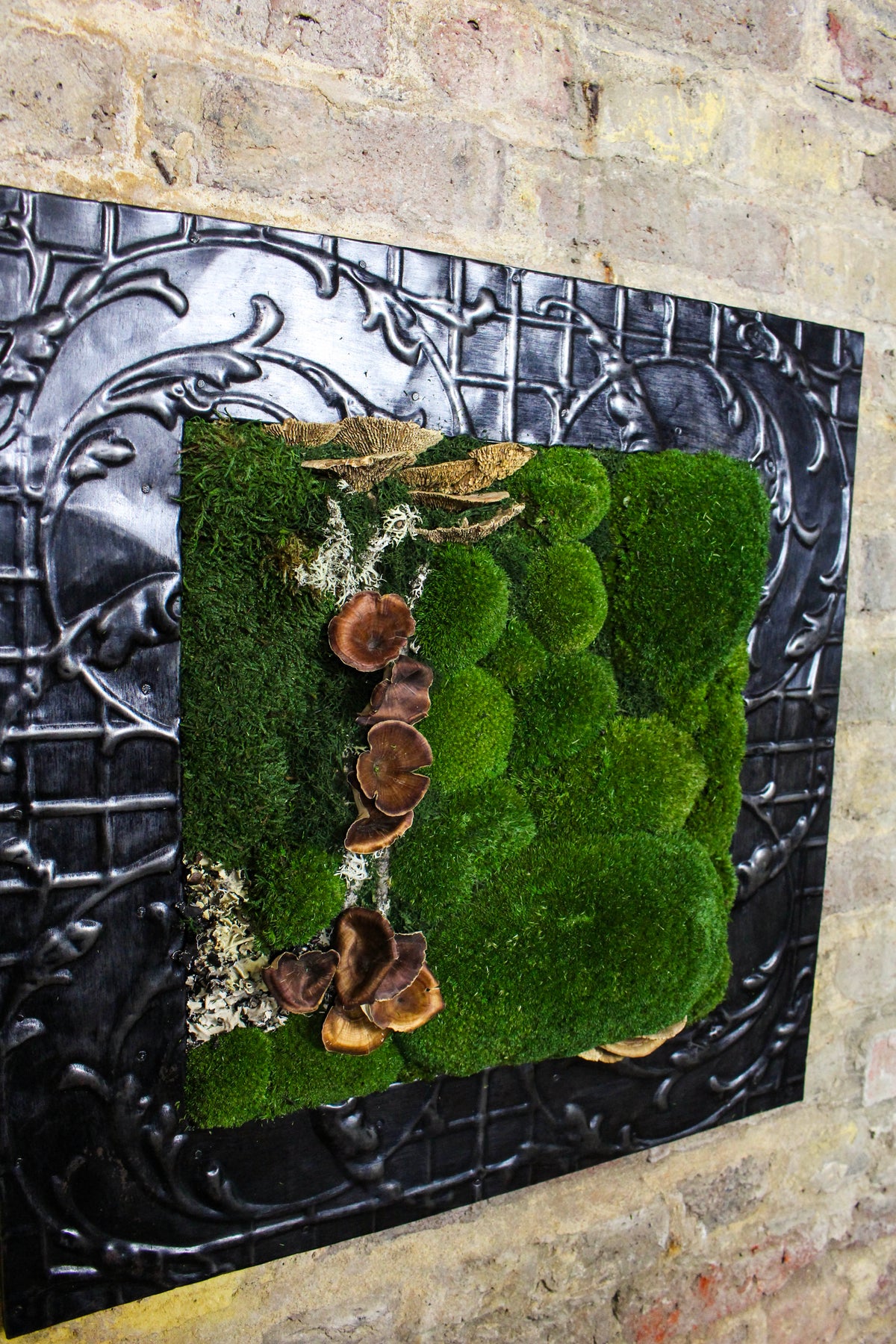 Preserved Moss Art (Victorian Frame) FR81